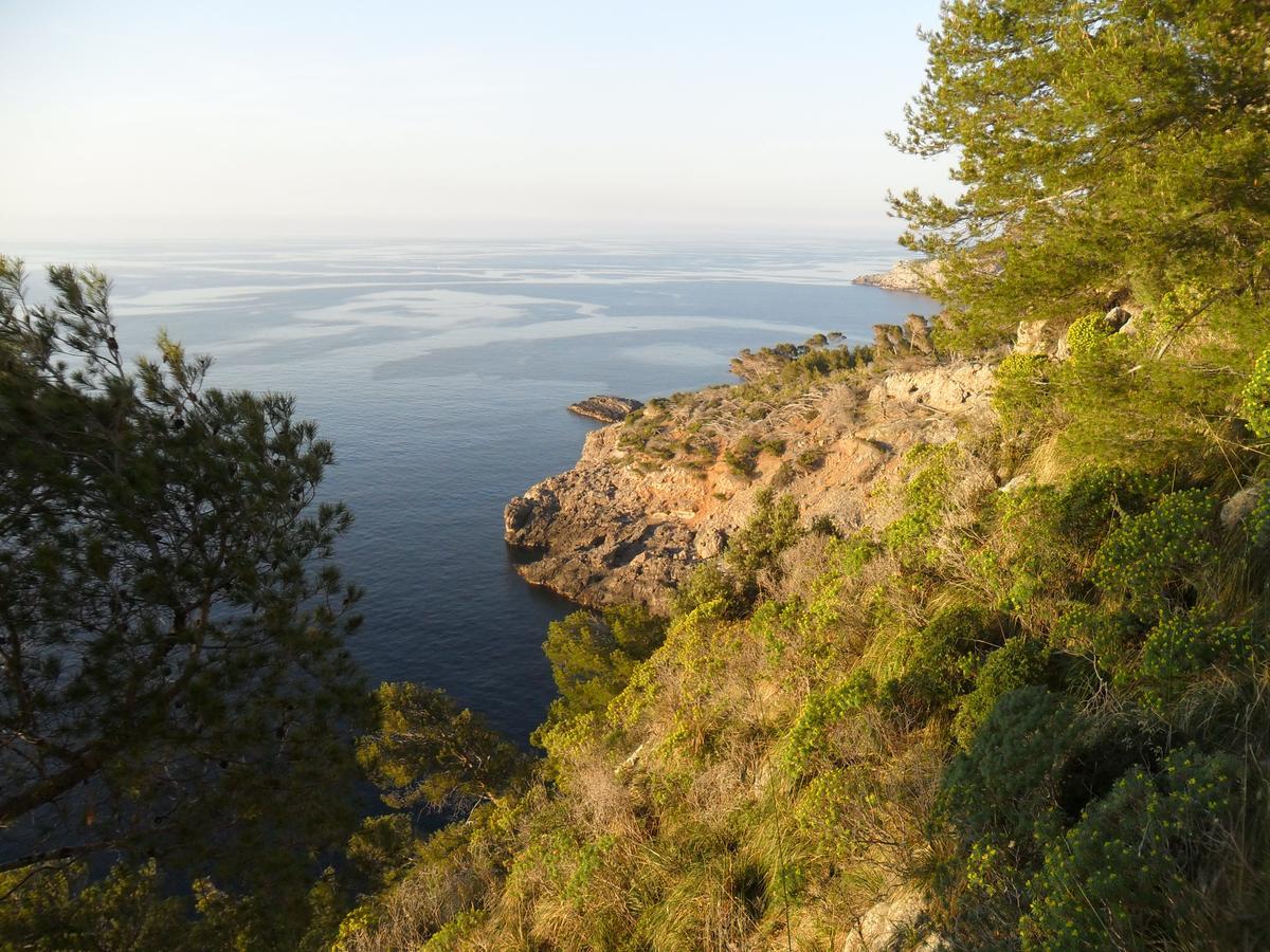 Sol Port Soller Hotell Puerto de Sóller Eksteriør bilde